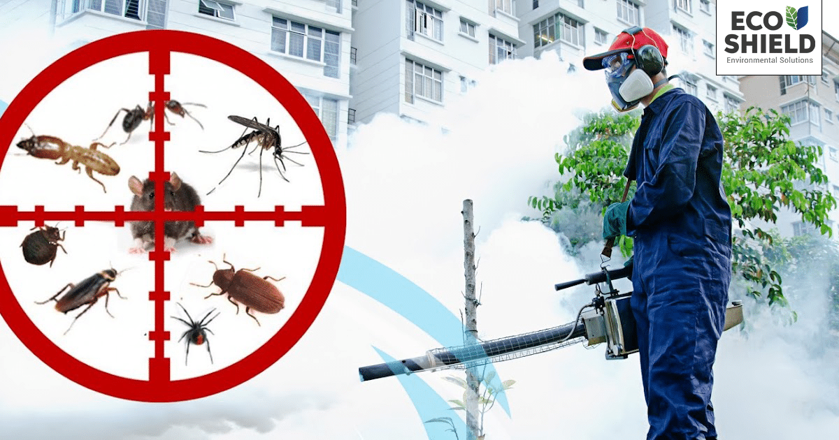 أضرار الحشرات الشائعة